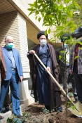 درختکاری 5