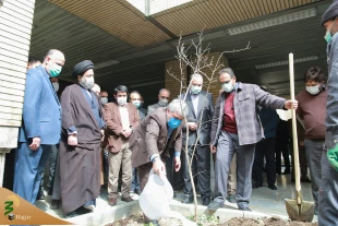 درختکاری 6