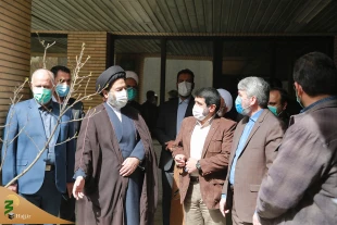 درختکاری 7