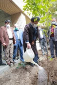  Participation of Hajj and Pilgrimage officials in the arboriculture day ceremony 4