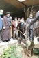  Participation of Hajj and Pilgrimage officials in the arboriculture day ceremony 5