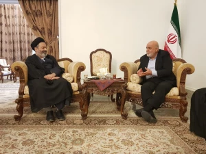 بررسی راهکارهای تسهیل سفر زائرین ایرانی به عتبات 