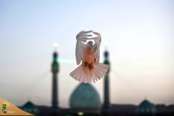 مسجد جمکران 5