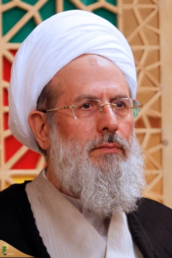 آیت‌الله محمد محمدی ری شهری 37