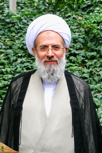 آیت‌الله محمد محمدی ری شهری 39