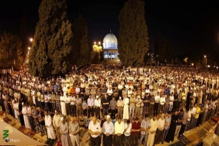 برپایی نخستین نماز تراویح ماه رمضان در مسجدالاقصی و مساجد مصر 3