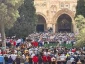 در اولین نماز جمعه ماه مبارک رمضان؛

حضور 80 هزار نمازگزار در مسجدالاقصی 2