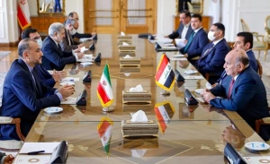 وزیر خارجه:

سفر زائران ایرانی از مرز‌های زمینی به عتبات عالیات تسهیل شود