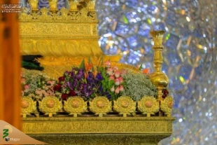 تزیین صحن مطهر علوی(ع) به مناسبت ولادت حضرت امام حسن مجتبی(ع) 6