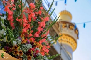 تزیین صحن مطهر علوی(ع) به مناسبت ولادت حضرت امام حسن مجتبی(ع) 7