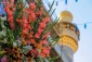 تزیین صحن مطهر علوی(ع) به مناسبت ولادت حضرت امام حسن مجتبی(ع) 7