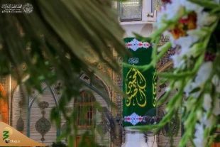تزیین صحن مطهر علوی(ع) به مناسبت ولادت حضرت امام حسن مجتبی(ع) 8