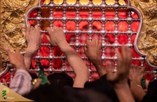 مراسم احیای شب بیست و یکم ماه رمضان در حرم مطهر حضرت ابوالفضل(ع)+عکس 16