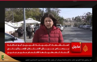واکنش مجامع بین‌المللی به کشته شدن خبرنگار الجزیره