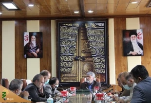 رییس سازمان حج وزیارت:

نخستین گروه عوامل حج تمتع ۱۴۰۱ عازم عربستان می شوند/ تزریق واکسن مننژیت و فلج اطفال انجام می گیرد 3