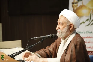 با حضور آیت الله استادی؛
همایش سراسری روحانیون، معین و معینه‌های کاروان‌های حج تمتع در قم برگزار شد 2