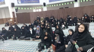 همایش متمرکز بانوان حج گزار 1401  استان اردبیل برگزار شد.
 4