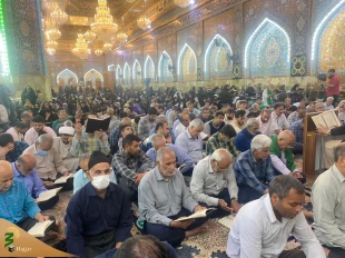 همزمان با ولادت امام رضا (ع)
مراسم دعای کمیل در کربلای معلی برگزار شد  2