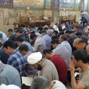 همزمان با ولادت امام رضا (ع)
مراسم دعای کمیل در کربلای معلی برگزار شد  2