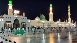 حضور در روضه رضوان مسجدالنبی(ص) با ثبت‌نام اینترنتی