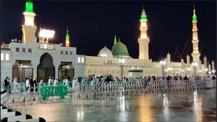 حضور در روضه رضوان مسجدالنبی(ص) با ثبت‌نام اینترنتی 2
