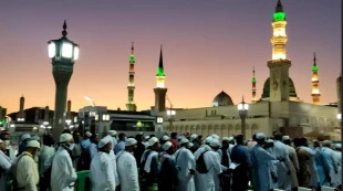 حضور در روضه رضوان مسجدالنبی(ص) با ثبت‌نام اینترنتی 3