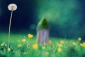 حکومت مهدی (عج) و مردم مشرق زمین 2
