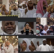 سجده شکر زائران خارجی، هنگام ورود به مدینه منوره+ عکس 3