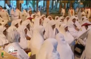 نخستین گروه از زائران ایرانی در مسجد شجره محرم شدند+ فیلم