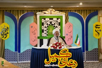 زمزمه یا رب یا رب زائران ایرانی در شهر پیامبر مهربانی 14