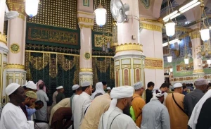 رسانه‌های عربستان: در هر شبانه روز حدود 20 هزار نفر روضه رضوان را زیارت می‌کنند+فیلم
