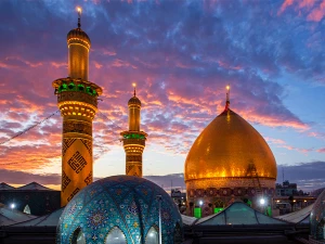 در شهر مدینه‌، اما دلتنگ ایوان طلای نجف هستم+فیلم