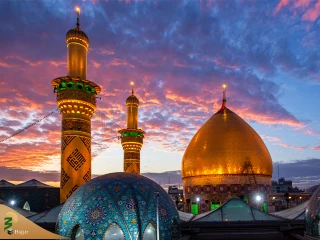 در شهر مدینه‌، اما دلتنگ ایوان طلای نجف هستم+فیلم