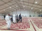 عرفات و منا آماده میزبانی از حجاج ایرانی می شود 4