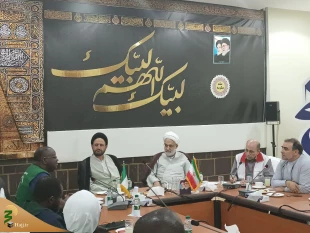 دیدار هیئت پزشکی نیجریه با جانشین سرپرست حجاج ایرانی 7