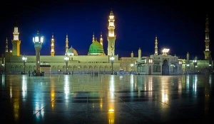 روضه منوره فرصتی که یکبار بیشتر برای حجاج تکرار نخواهد شد