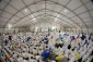 Head of the Iranian pilgrims:
The message of God's prophets kneading with acquittal
 2
