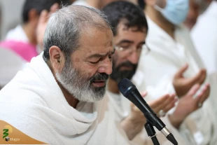 طنین دعا و مناجات زائران ایرانی در صحرای عرفات+عکس 8