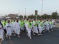 خود، راه بگویدت که چون باید رفت 6