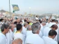 خود، راه بگویدت که چون باید رفت 12