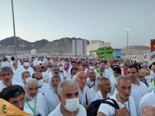 خود، راه بگویدت که چون باید رفت 13