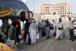 آخرین آمار ورود زائران ایرانی به مدینه منوره 4