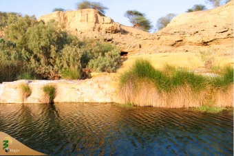 وادی غدیر خم  8