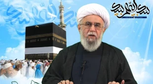 وبینار مجازی «وحدت اسلامی در پرتو قرآن و عترت» برگزار شد 4