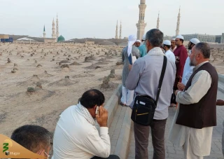 آخرین آمار زائران ایرانی در مدینه منوره