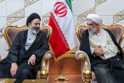 بازگشت سرپرست حجاج ایرانی به کشور 22