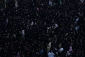 با حضور خیل عظیم زائران؛

پرچم حرم امام حسین (ع) تعویض شد 4