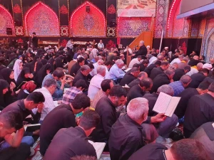 دعای کمیل زائران ایرانی در کربلای معلی+عکس
