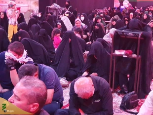 دعای ندبه زائران ایرانی در آخرین جمعه ماه محرم در کربلا 5