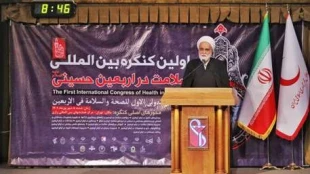 وزیر کشور: اربعین طلوع جدیدی در مکتب اهل بیت است 3